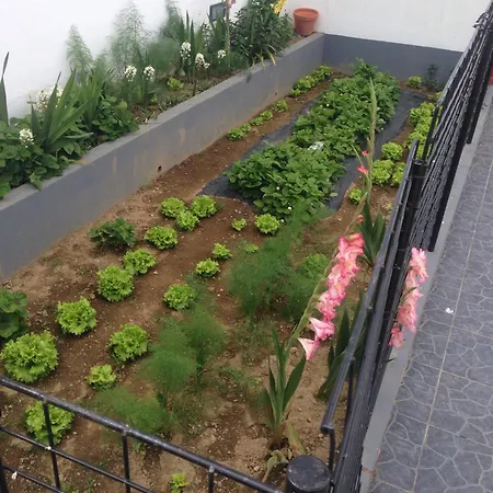 Casa Da Orquidea Holiday home Ribeira Grande