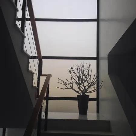 Casa Da Orquidea *